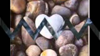 Il ladro dello zodiaco 0001