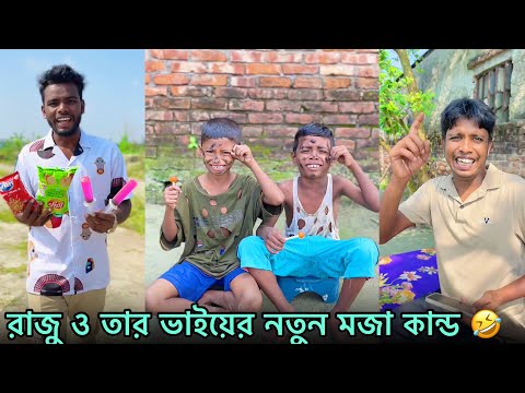 রাজু ও তার ভাইয়ের নতুন মজা কান্ড 🤣 | Raju & Brother Funny Comedy | Part 33 | NLF Sohel Official