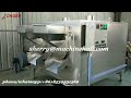 Continuous Nut Food Roasting Machine Test Video