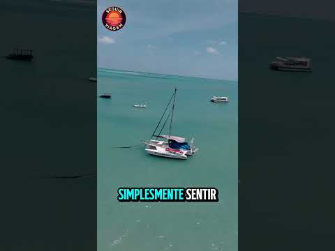 Maceió - Alagoas #vacation #trip #travel #travel #maceio #viagem #ferias