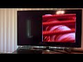 The Last Of The Moichans DVD Menu Walkthrough