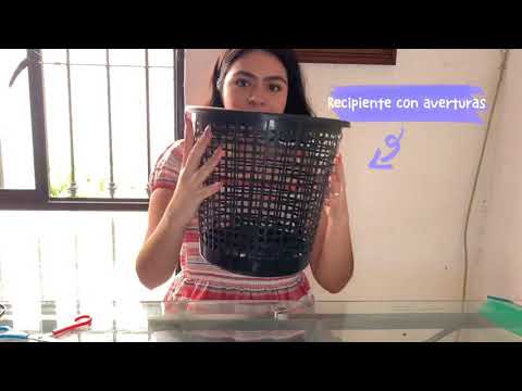 ¡Mi deshidratador solar! - Anyeli Valera