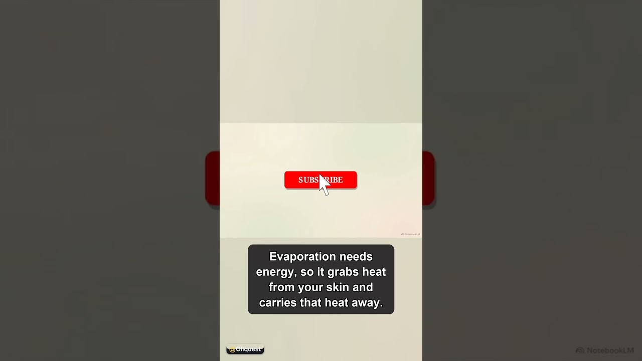 Why Do We Sweat? (Part 2) 🚀 #Shorts