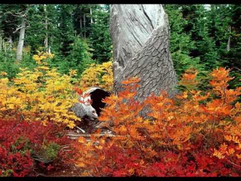 Pocsai Piroska - Kettecskén (elmondja: Mezei Kitty)