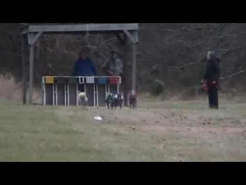 WASIT-WRA-12-12-2009-Y-Desktop.m4v