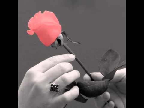 DJ T. Feat. James Teej - Sense (Tale Of Us Remix)