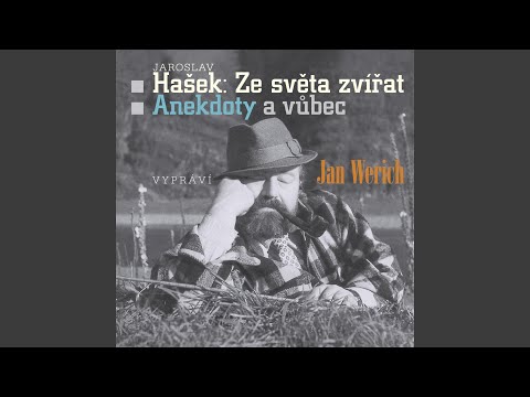 Některý den (Some Of These Days)