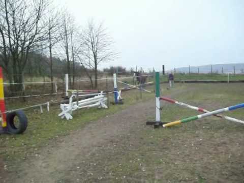 Corona von Colestus x Cornet Obolensky x Aljano x Claudio`s Son