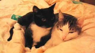 Be Glorified - Passion (Chris Tomlin)