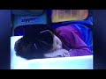 Christina Mistretta S Favorite Part From Episode 3553