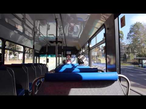 Punchbowl Bus Co. m/o 9026 - Hino RG197K (Allison) (Custom Coaches)