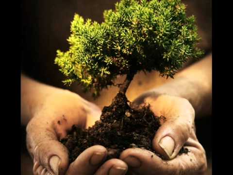 ANA HASHEM  AMIEL BARLETTA