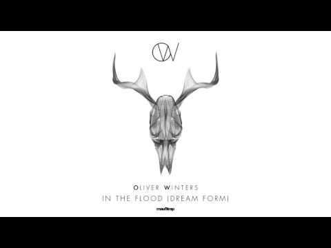 Oliver Winters - In The Flood (Dream Form)