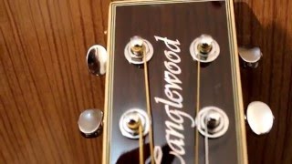 Video thumbnail for Review do violão TANGLEWOOD EVOLUTION TSF-CE-N by Berger