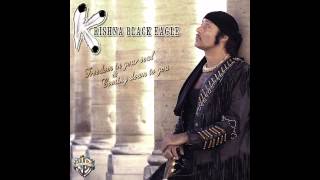 KRISHNA BLACK EAGLE - FREEDOM IN YOUR SOUL (SINGLE 2014)