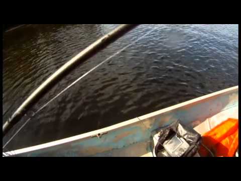 Duo Realis Jerkbait 100 Smallmouth