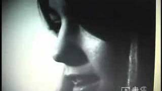 Freak Freely For Fun And Love Clear Into The Sun