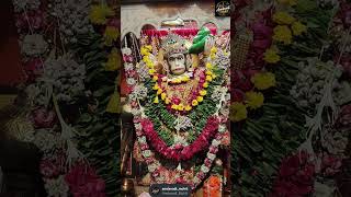 Download lagu #amdavadimohit#hanuman #paldi #ahmedabad#shortvideo #youtubeshorts mp3