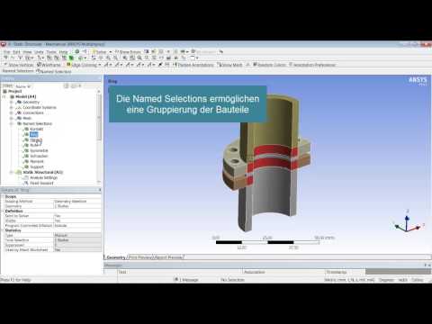 Verwendung von Named Selections in ANSYS Workbench™ v14.5