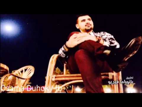 Nikar kamil are hayve