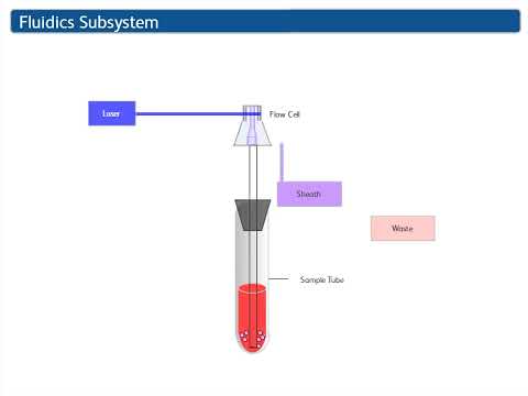 Intro to Flow Cytometry