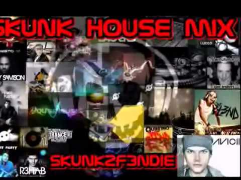 Skunk House Mix - SKUNKF3NDIE