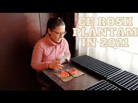 , title : 'Soiuri de rosii plantate de noi in 2021 si Metoda de plantare .'