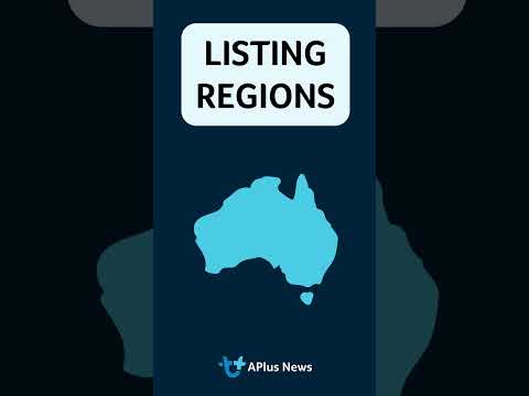 APlus News Market Report - Sheep 21.05.2025