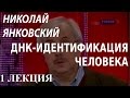 ACADEMIA. Николай Янковский. ДНК-идентификация человека. 1 лекция. Канал ...