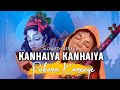 Kanhaiya Kanhaiya Pukara Karenge (Slowed+Reverb) Kahin to Milenge Vo Banke Bihari || Textaudio