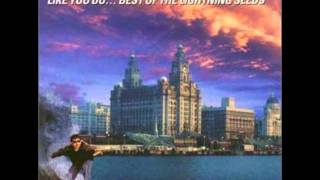 The Lightning seeds- Marvellous