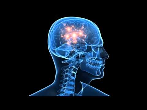 Evolutionary Psychology