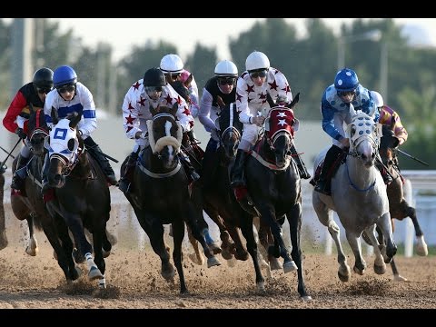 8TH RACE meeting of Season 2016 / 2017