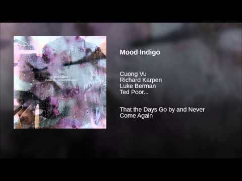 Mood Indigo online metal music video by INDIGO MIST: CUONG VU - RICHARD KARPEN