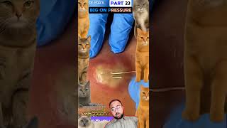 OMG Pressure#pimplepopper #pimples #shortsfeed #shortvideo #shorts #youtubeshorts #youtube (Part 23)