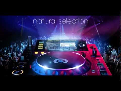 House Music Hard Mix. 2012-2013