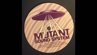 Die Groove - Digital Information Ensemble | Mutant Sound System [1997]