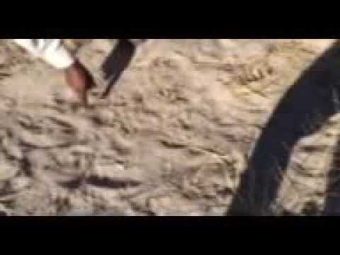 The amazing knowledge of our guide in Hyena Pan Botswana