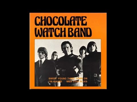 The Chocolate Watch Band - Sweet Young Thing (1966)