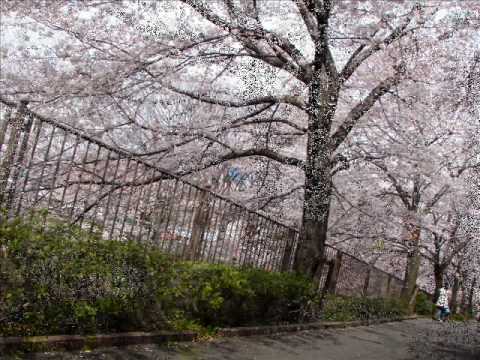 Sakura Mal Pipila by Nanda Malini