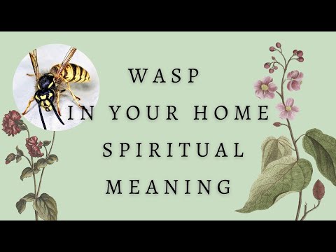 Wasp In Your Home Spiritual Meaning | Wisdom From A Wasp Spirit Animal | Wasp Spiritual Symbolism