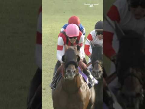 WIN CARNELIAN ウインカーネリアン takes the G1 Sprinters Stakes at Nakayama! 🇯🇵