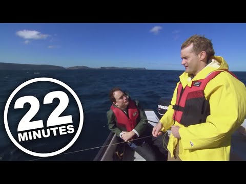 22 Minutes: Cod Fishing With Seamus O'Regan