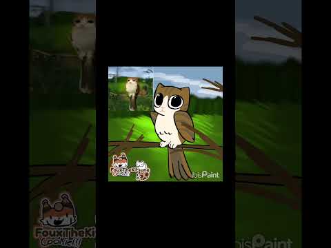 New soul #art #cat #owl #trending