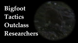 Bigfoot tactics outclass research team. Sasquatch stratagy