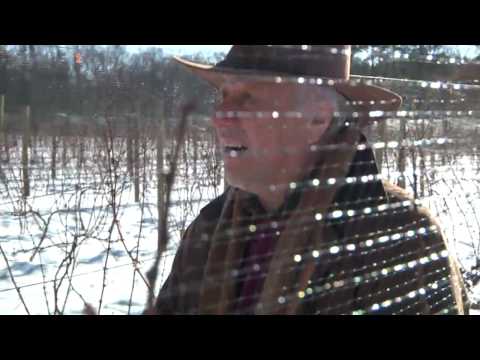 download lagu mp3 mp4 Late Harvest Ice Wine, download lagu Late Harvest Ice Wine gratis, unduh video klip Late Harvest Ice Wine