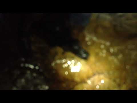 Pestera Cioclovina Part 1, 15  Aug 2022