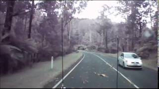Смотреть онлайн Дерево чуть не упало на водителя, Австралия 29.12.2014