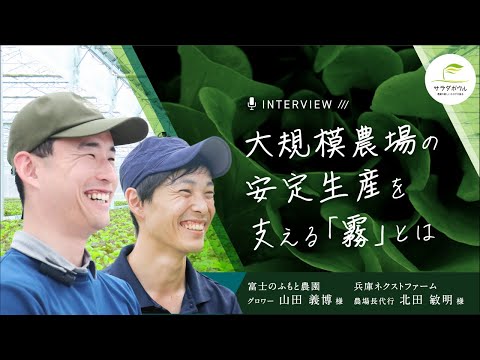 鉢内の湿度を保つにはどうすればいいですか？植物を熱波から守るための 5 つ以上のソリューション!  庭園