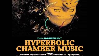 Hyperbolic Chamber Music (Instrumental) (prod. Ryan Hemsworth)